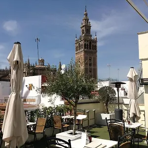 Palacio Alcazar Sevilla
